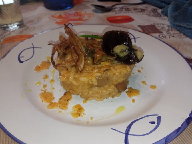 platos