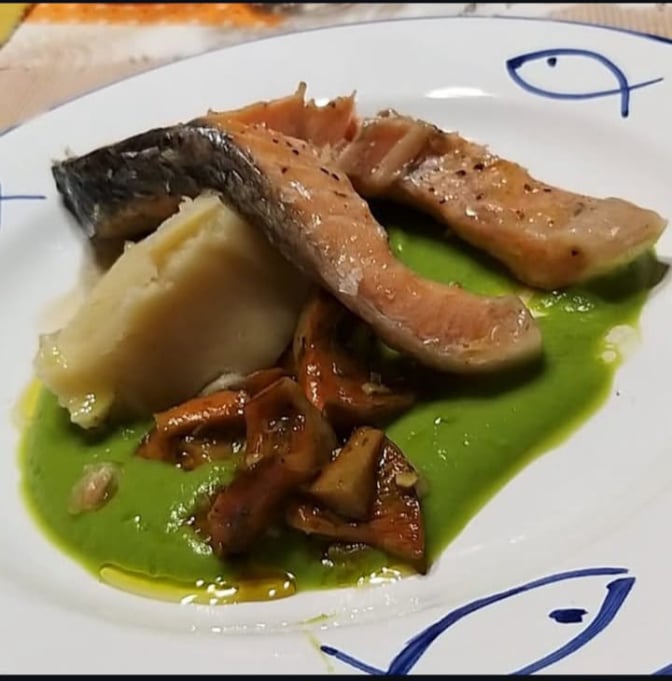 platos